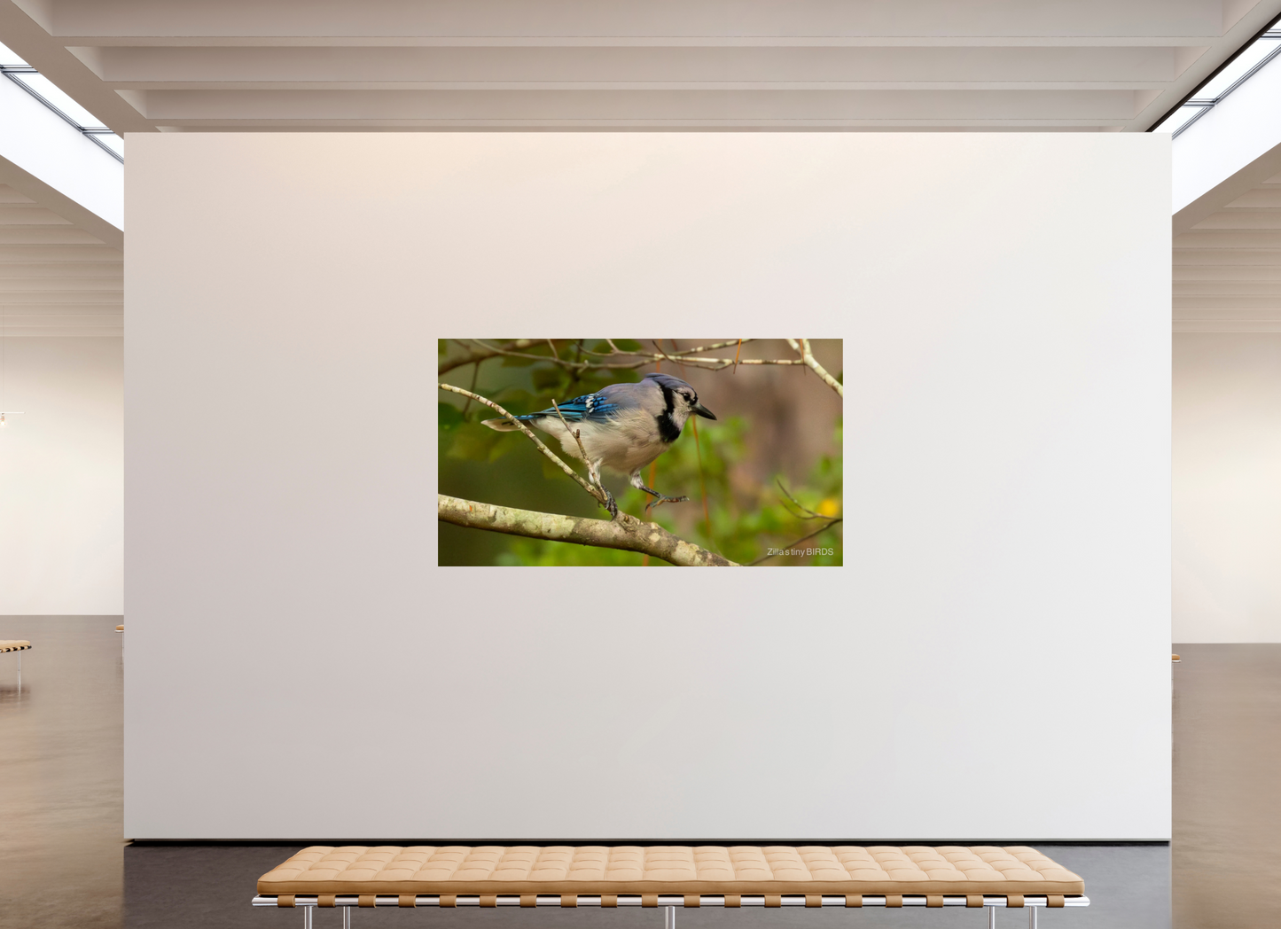 80 x 45″, Photo Print On Fuji Crystal DP II Zillas Zoom Image 391