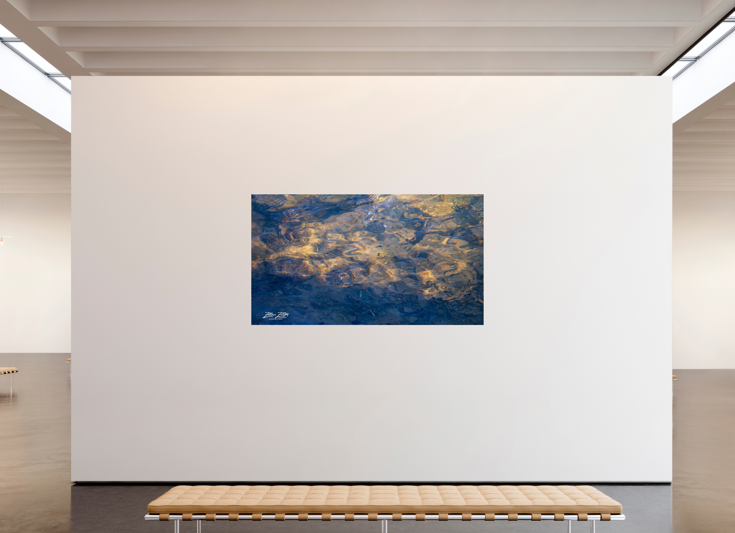 80 x 45″, Photo Print On Fuji Crystal DP II Zillas Zoom Image 10
