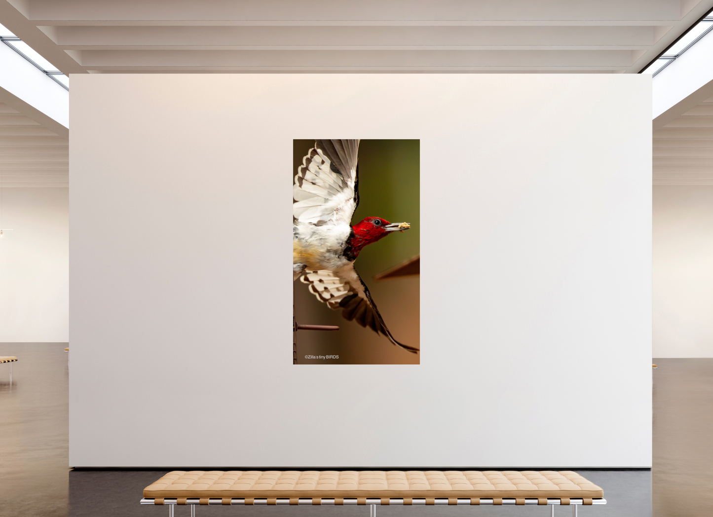 45 x 80″, Photo Print On Fuji Crystal DP II Zillas Zoom Image 399
