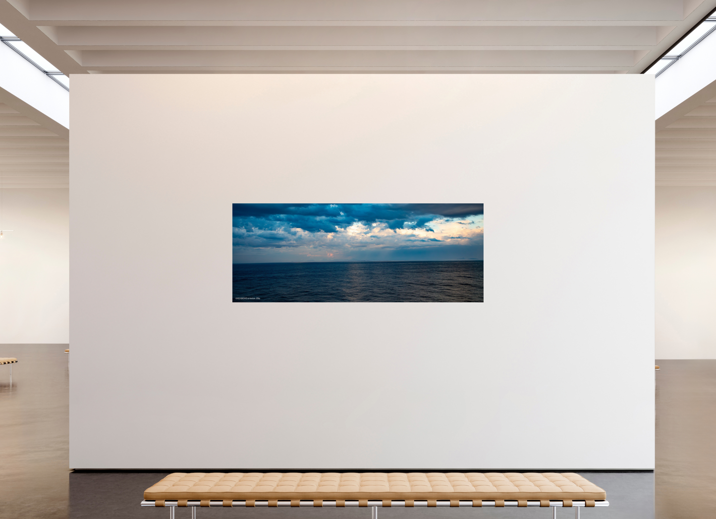 88.8 x 35″, Photo Print On Fuji Crystal DP II Zillas Zoom Image 198