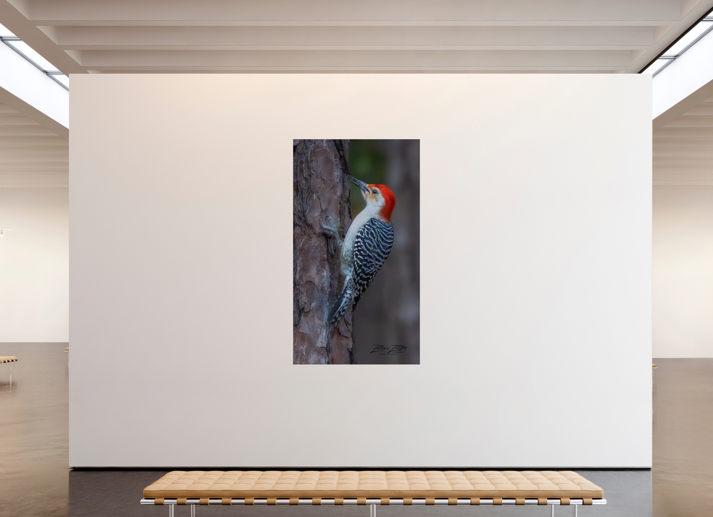 45 x 80″, Photo Print On Fuji Crystal DP II Zillas Zoom Image 445