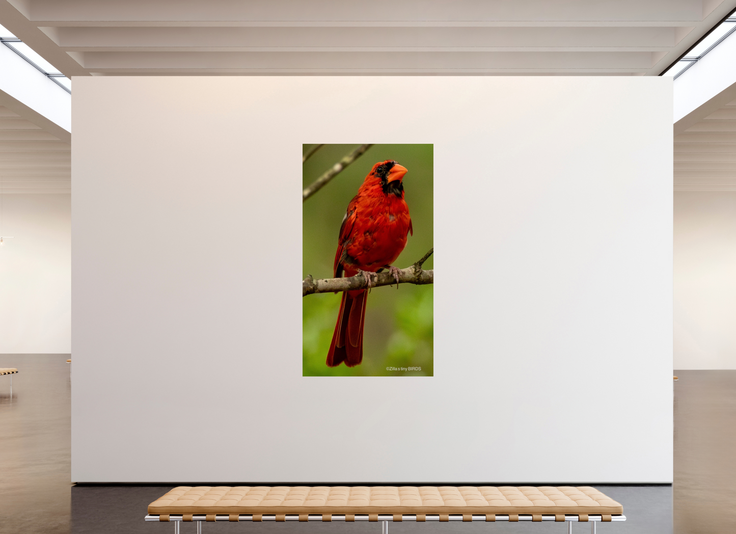 45 x 80″, Photo Print On Fuji Crystal DP II Zillas Zoom Image 397