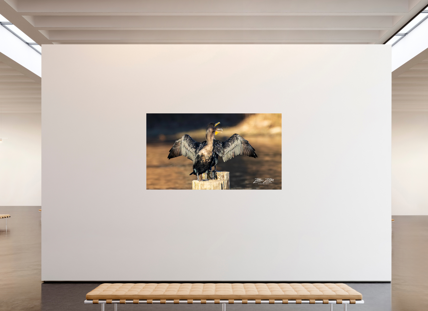 80 x 45″, Photo Print On Fuji Crystal DP II Zillas Zoom Image 294