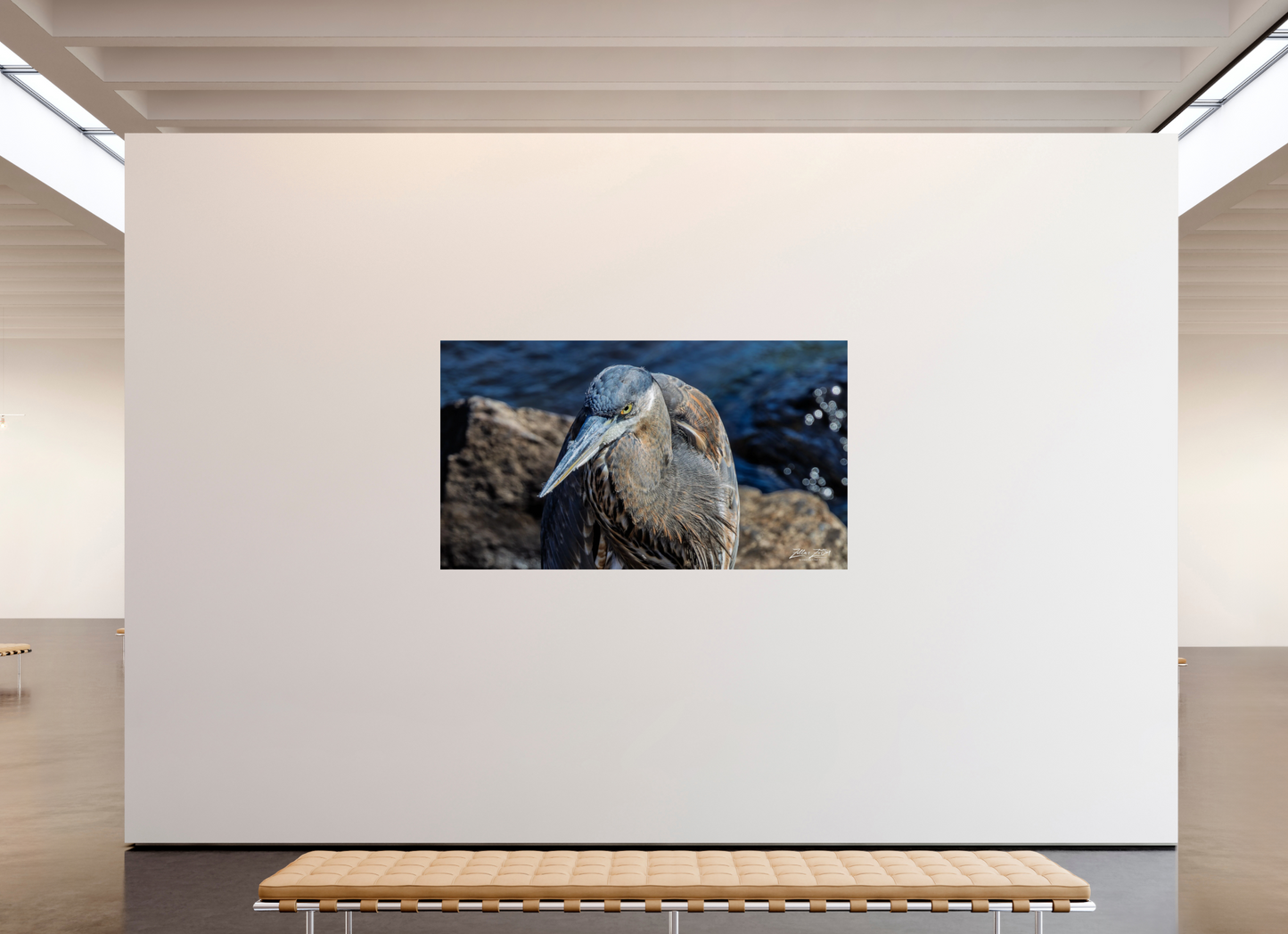 80 x 45″, Photo Print On Fuji Crystal DP II Zillas Zoom Image 335