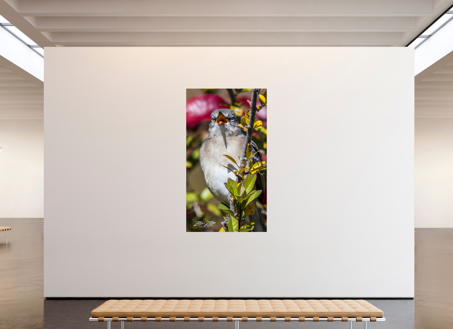 45 x 80″, Photo Print On Fuji Crystal DP II Zillas Zoom Image 405