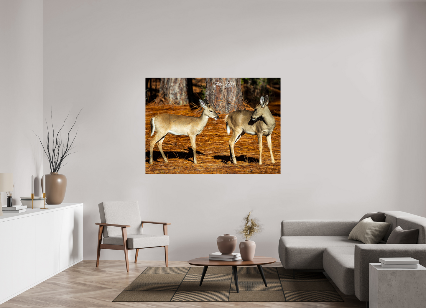 65.8 x 47″, Photo Print On Fuji Crystal DP II Zillas zoom image 143