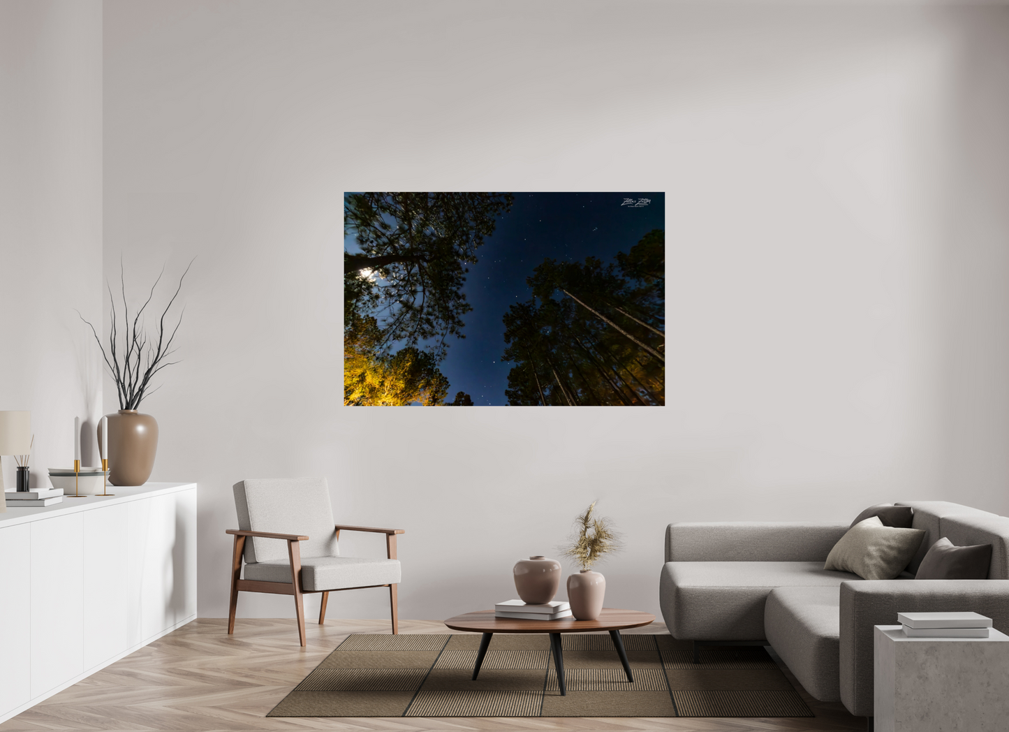66 x 44″, Photo Print On Fuji Crystal DP II Zillas zoom image 119