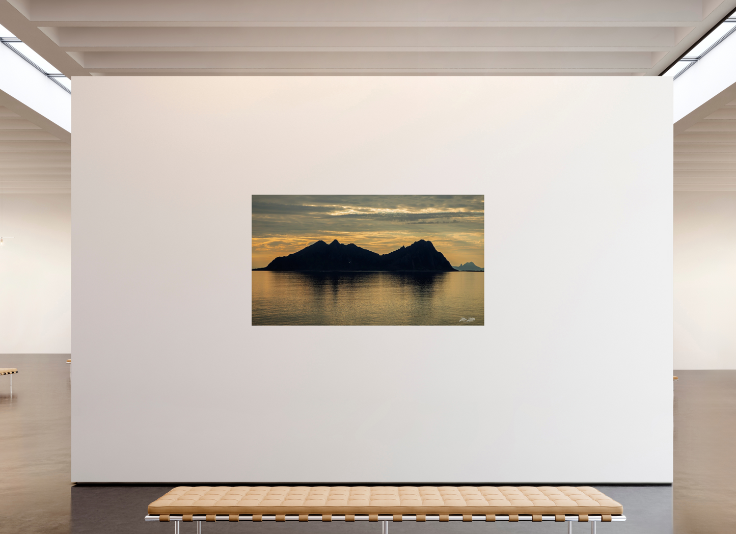 80 x 45″, Photo Print On Fuji Crystal DP II Zillas Zoom Image 189