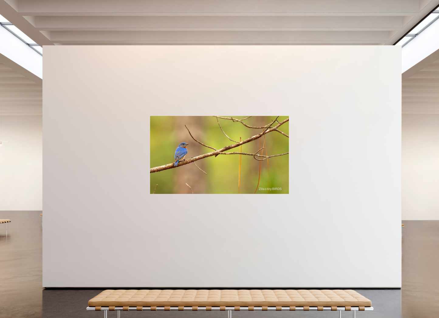 80 x 45″, Photo Print On Fuji Crystal DP II Zillas Zoom Image 382