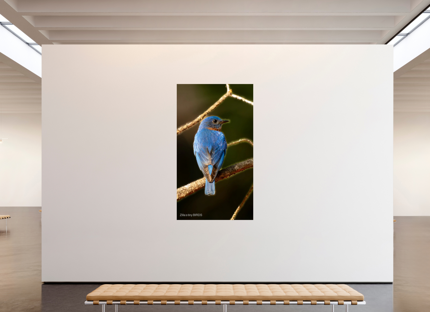 45 x 80″, Photo Print On Fuji Crystal DP II Zillas Zoom Image 489