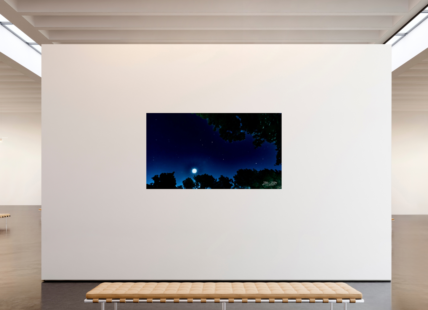 80 x 45″, Photo Print On Fuji Crystal DP II Zillas zoom image 119