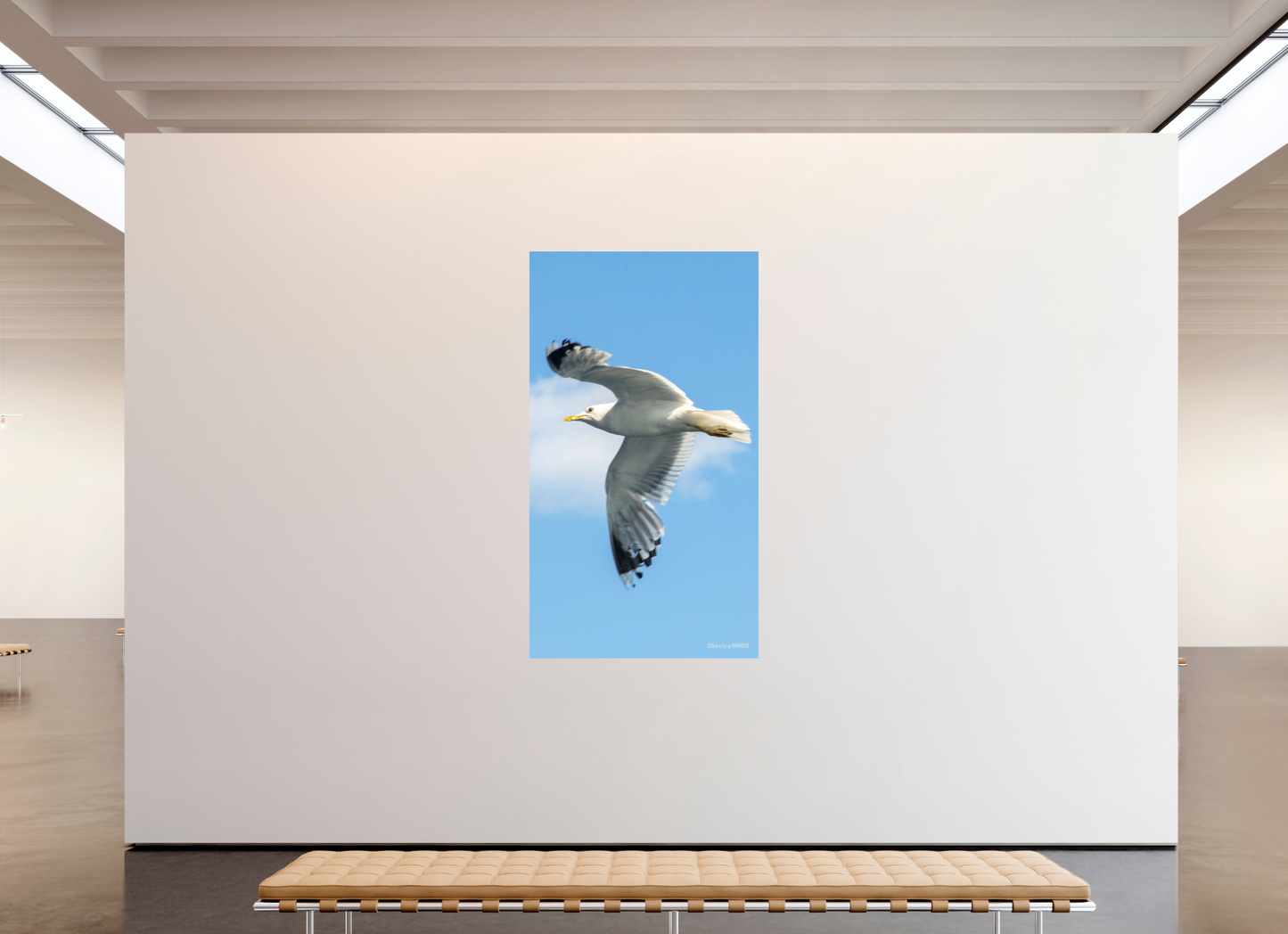 45 x 80″, Photo Print On Fuji Crystal DP II Zillas Zoom Image 466