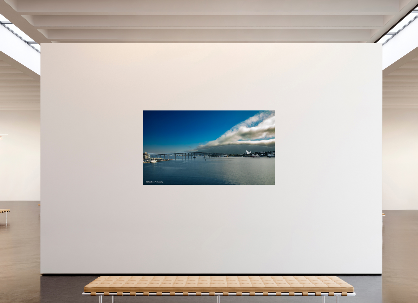 80 x 45″, Photo Print On Fuji Crystal DP II Zillas Zoom Image 164