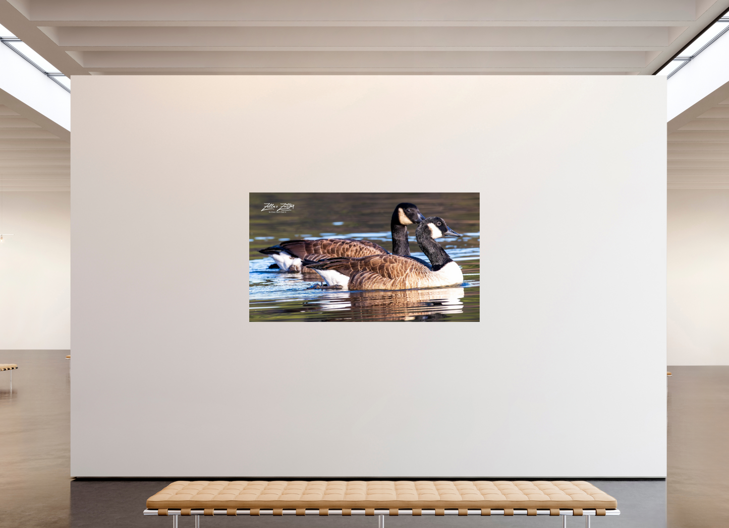 80 x 45″, Photo Print On Fuji Crystal DP II Zillas Zoom Image 278