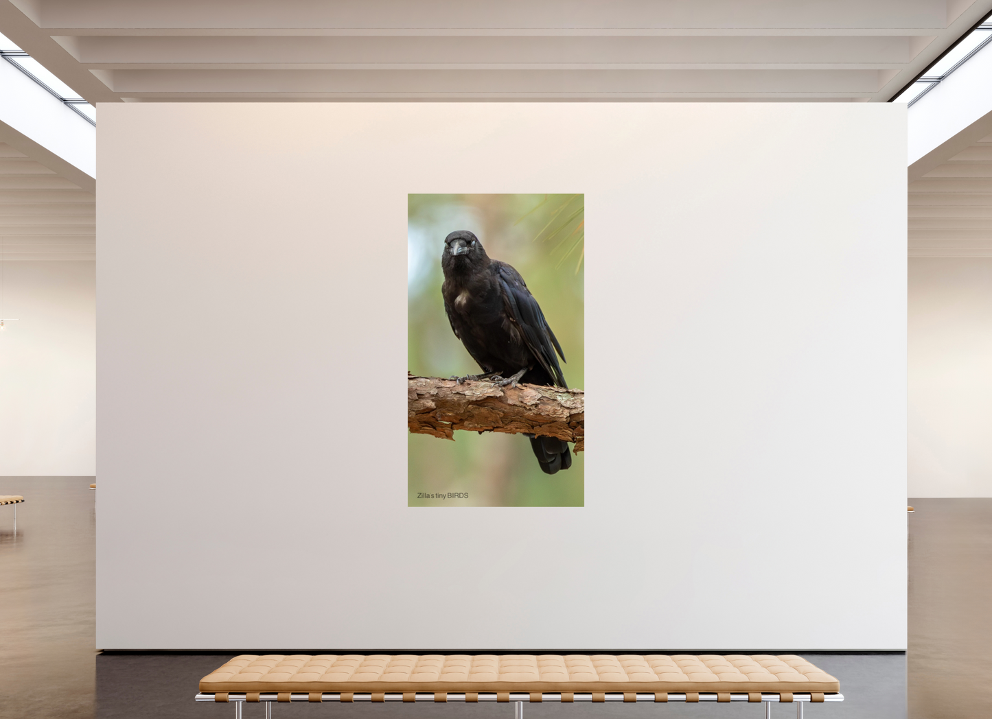 45 x 80″, Photo Print On Fuji Crystal DP II Zillas Zoom Image 478