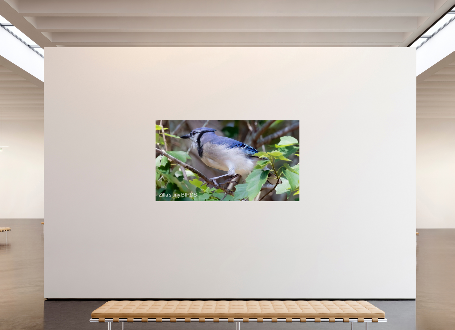 80 x 45″, Photo Print On Fuji Crystal DP II Zillas Zoom Image 377