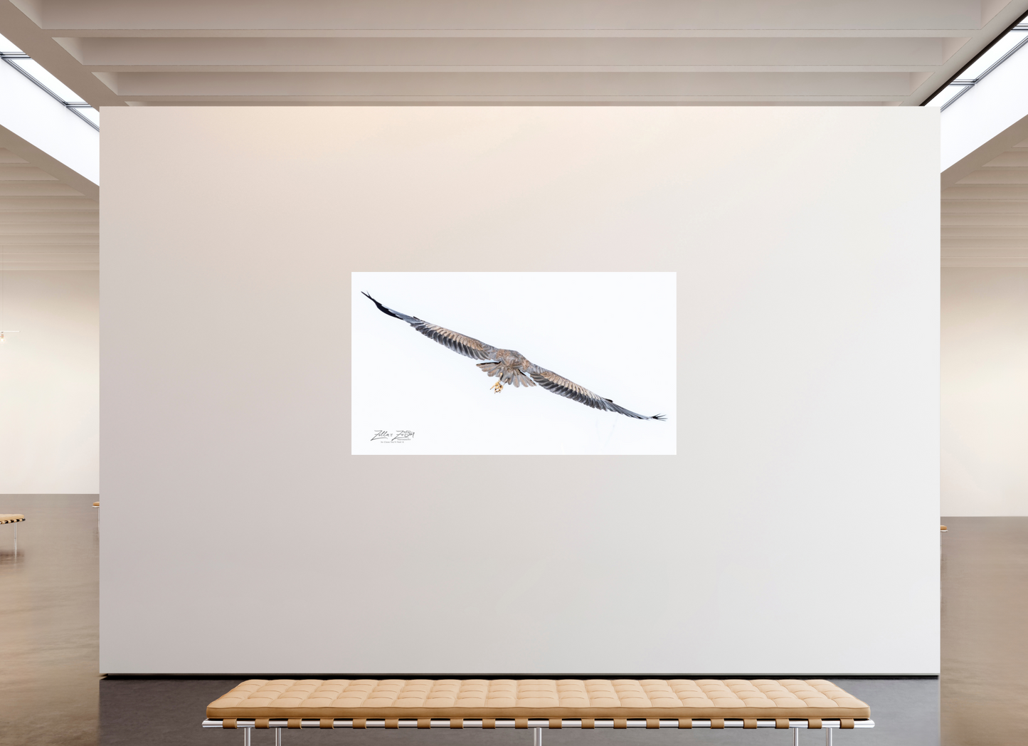 80 x 45″, Photo Print On Fuji Crystal DP II Zillas Zoom Image 275
