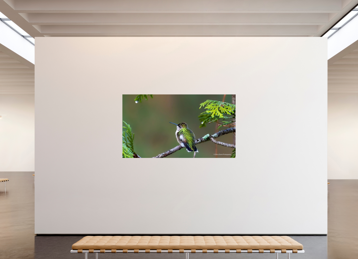 80 x 45″, Photo Print On Fuji Crystal DP II Zillas Zoom Image 309