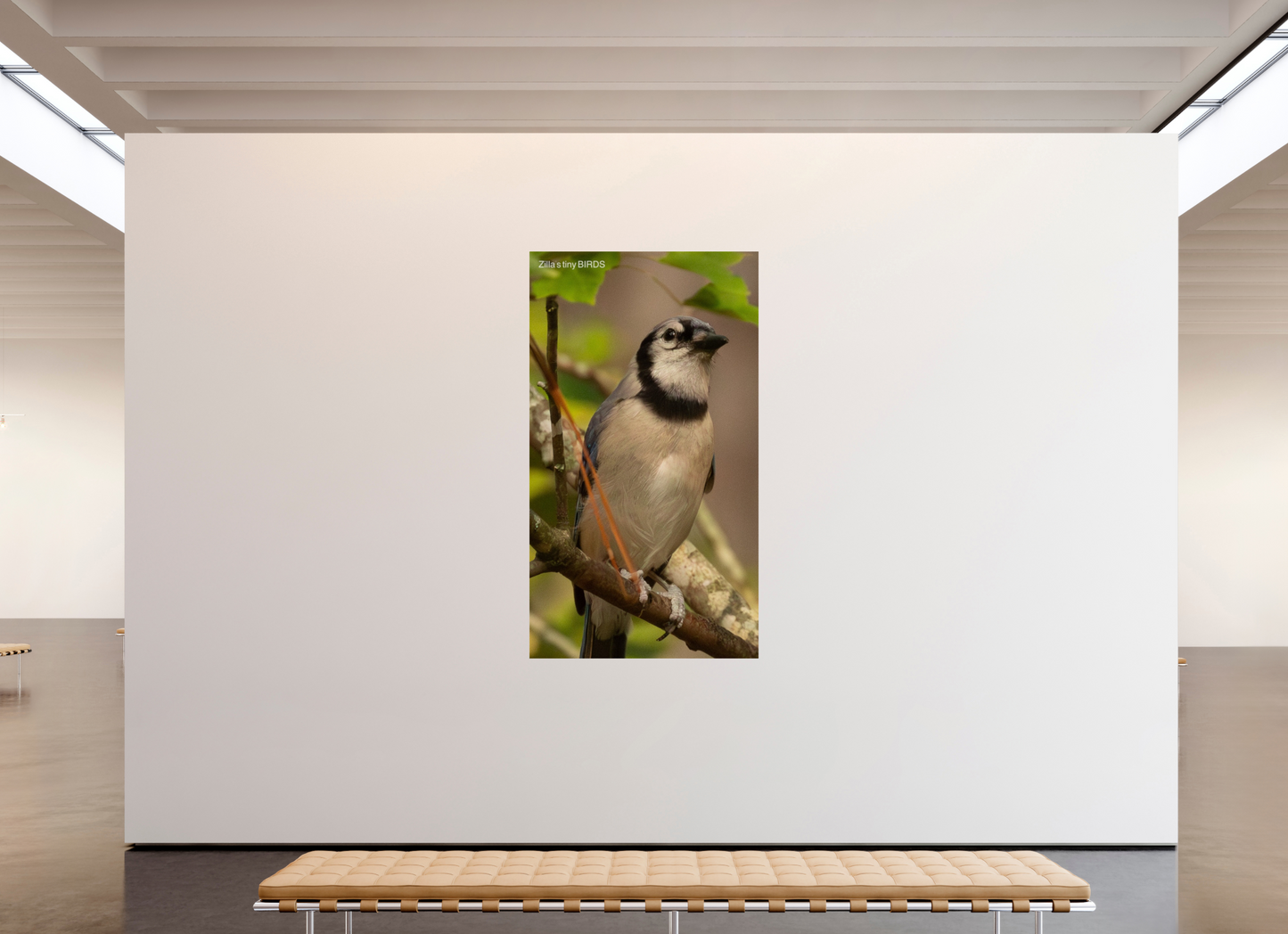 45 x 80″, Photo Print On Fuji Crystal DP II Zillas Zoom Image 493