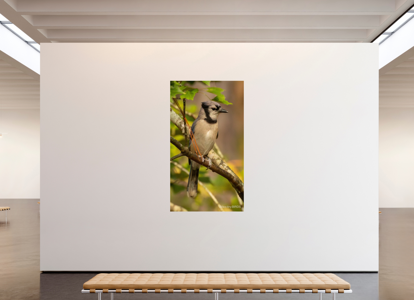 45 x 80″, Photo Print On Fuji Crystal DP II Zillas Zoom Image 491