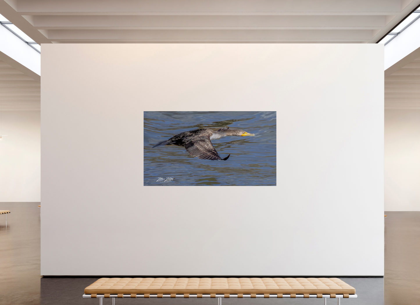 80 x 45″, Photo Print On Fuji Crystal DP II Zillas Zoom Image 282