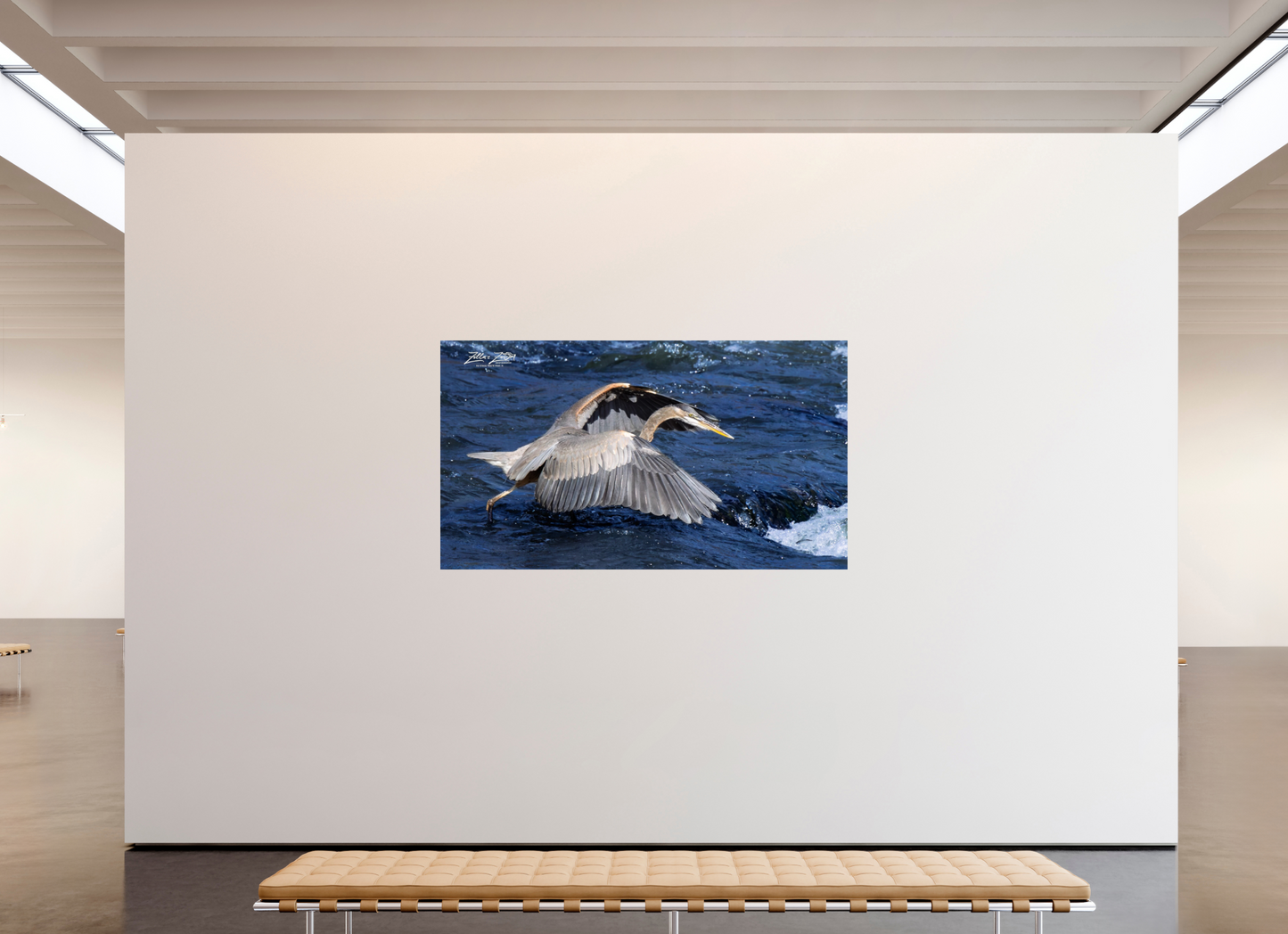 80 x 45″, Photo Print On Fuji Crystal DP II Zillas Zoom Image 286