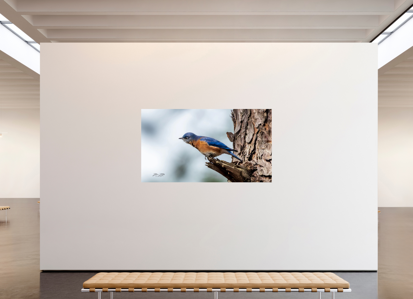 80 x 45″, Photo Print On Fuji Crystal DP II Zillas Zoom Image 346