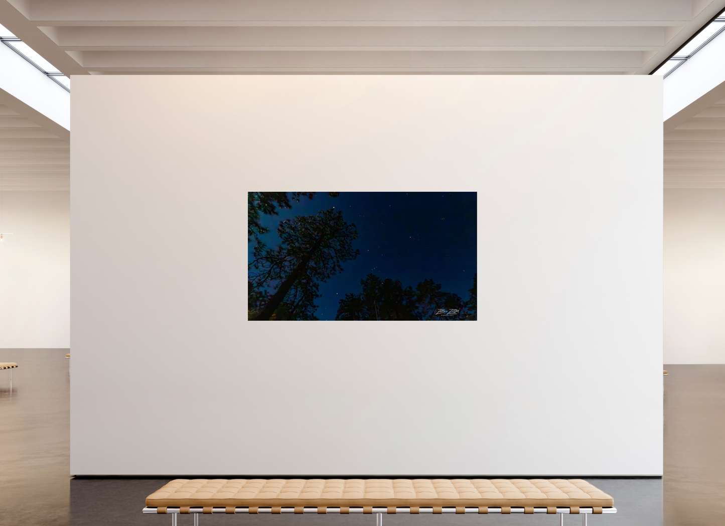 80 x 45″, Photo Print On Fuji Crystal DP II Zillas zoom image 127