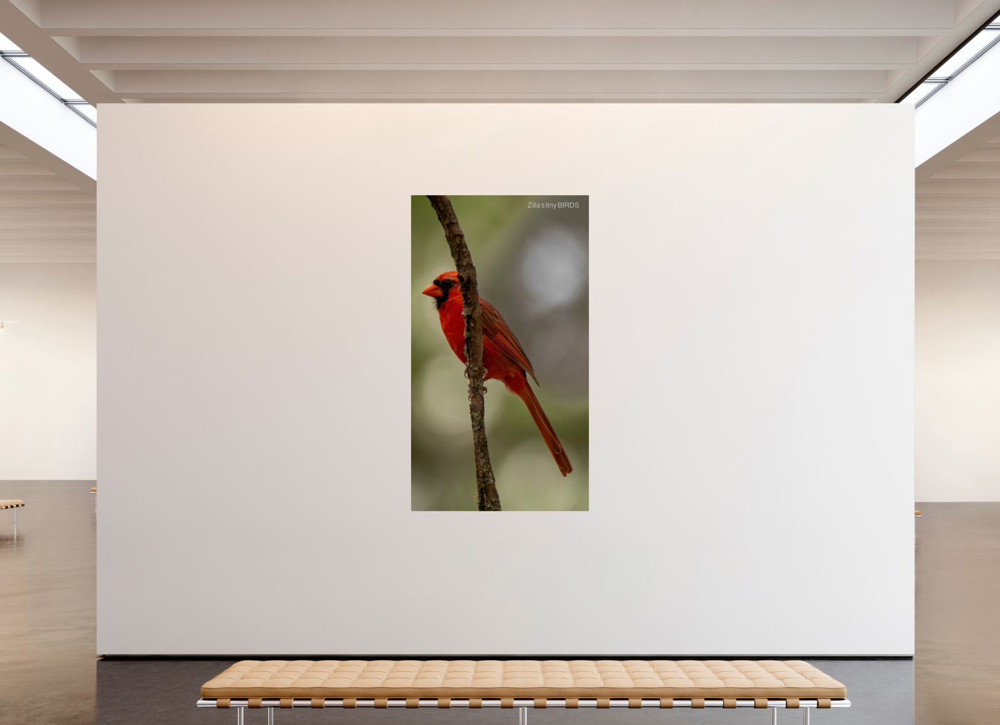 45 x 80″, Photo Print On Fuji Crystal DP II Zillas Zoom Image 486