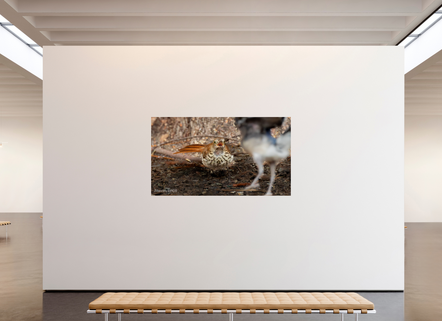 80 x 45″, Photo Print On Fuji Crystal DP II Zillas Zoom Image 383