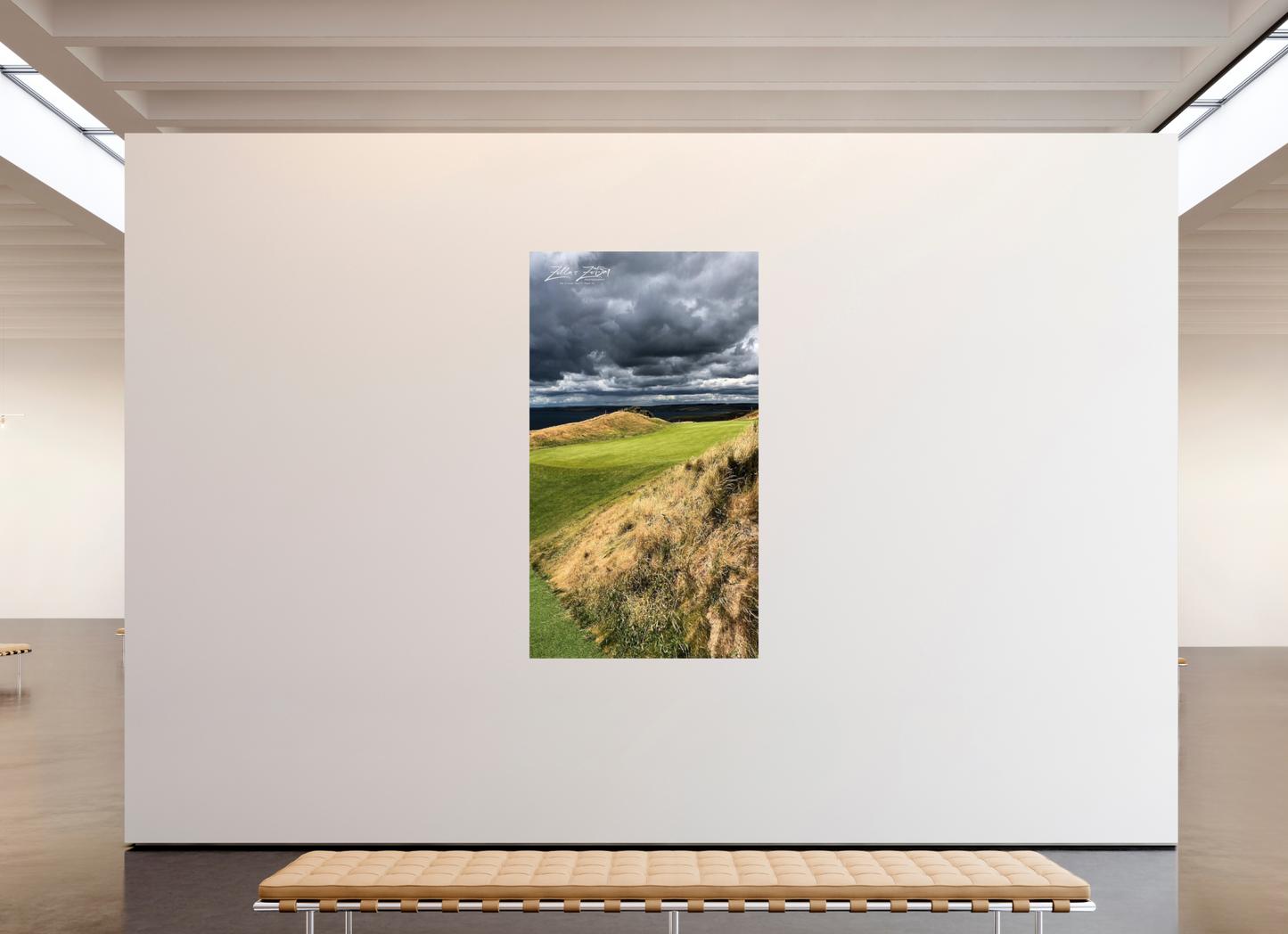 45 x 80″, Photo Print On Fuji Crystal DP II Zillas Zoom Image 248