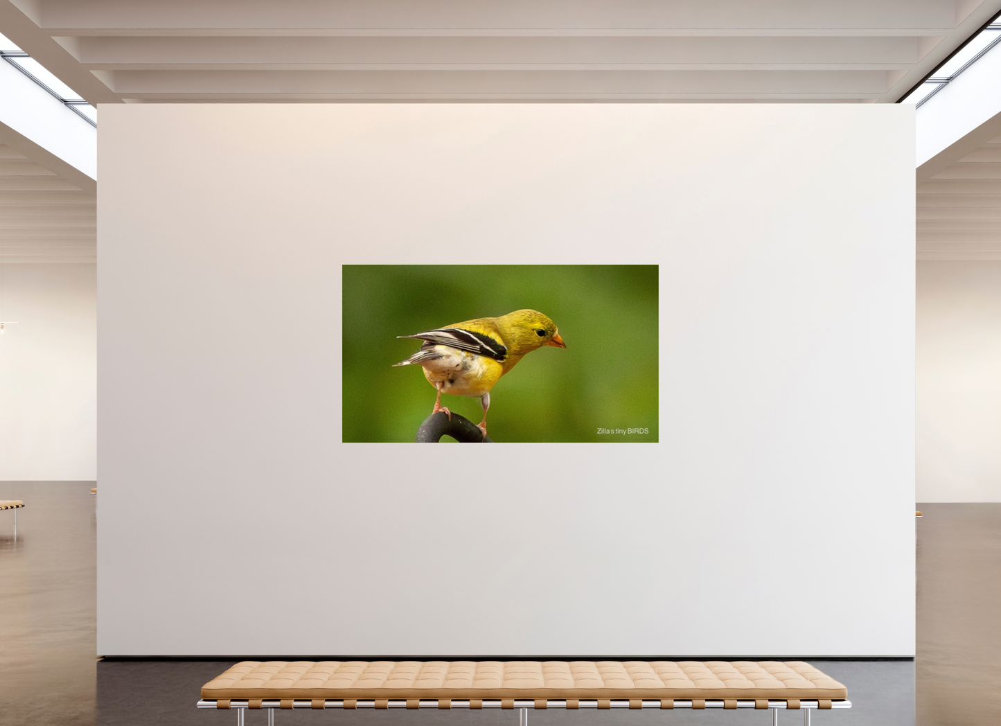 80 x 45″, Photo Print On Fuji Crystal DP II Zillas Zoom Image 380