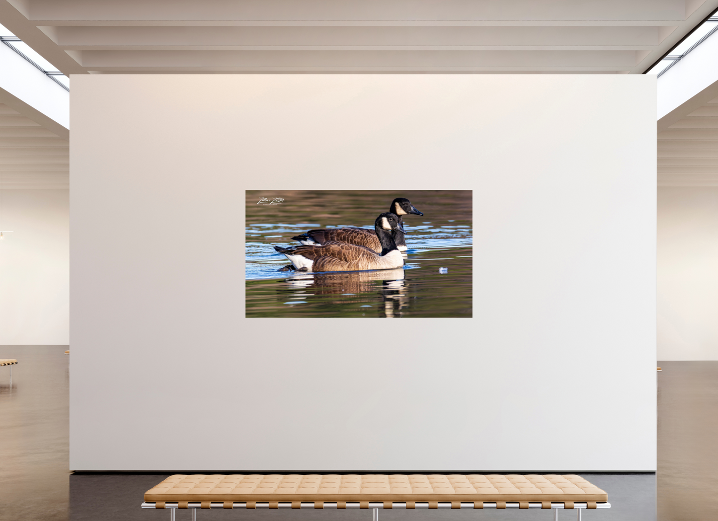 80 x 45″, Photo Print On Fuji Crystal DP II Zillas Zoom Image 279