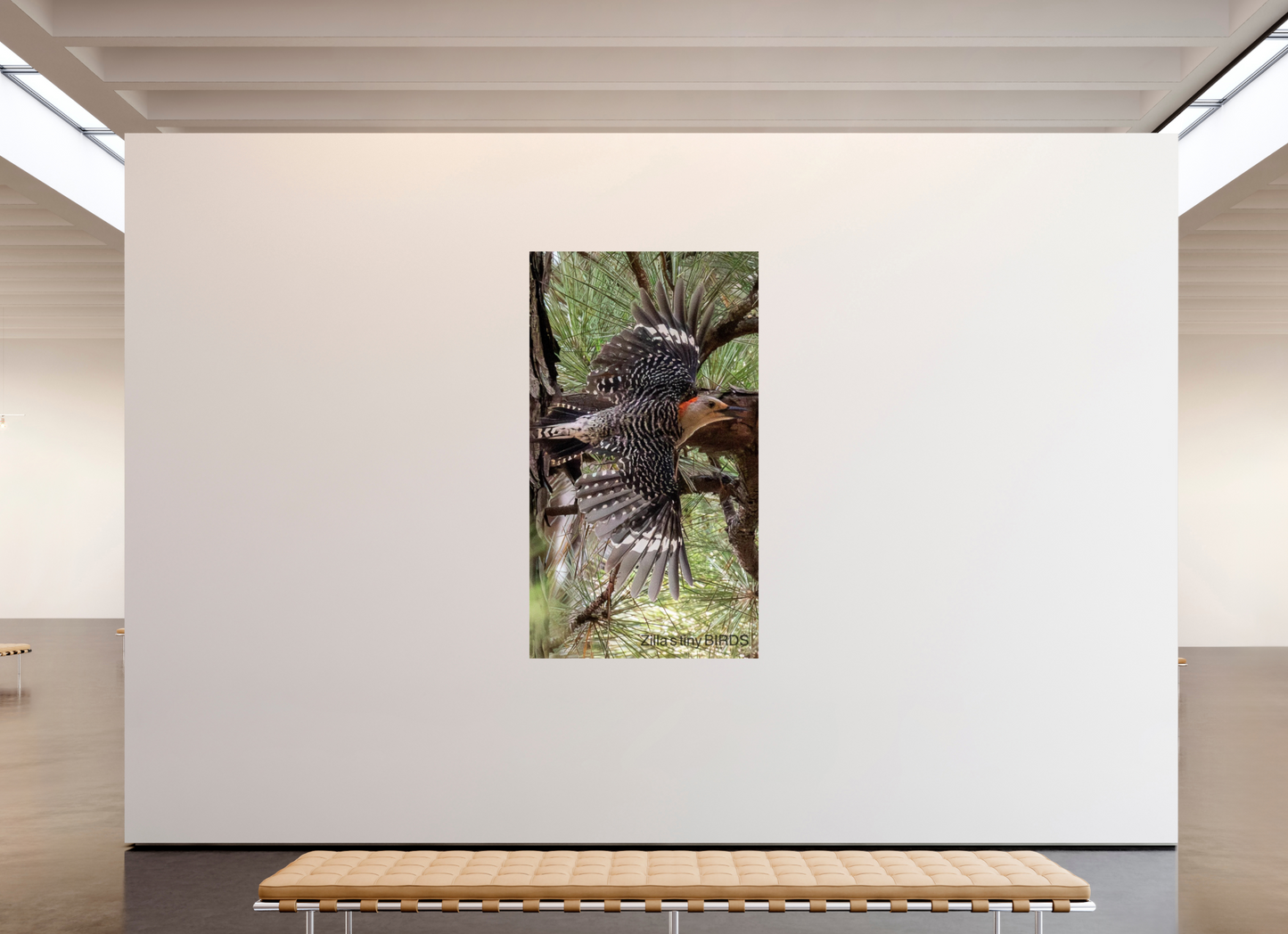 45 x 80″, Photo Print On Fuji Crystal DP II Zillas Zoom Image 477
