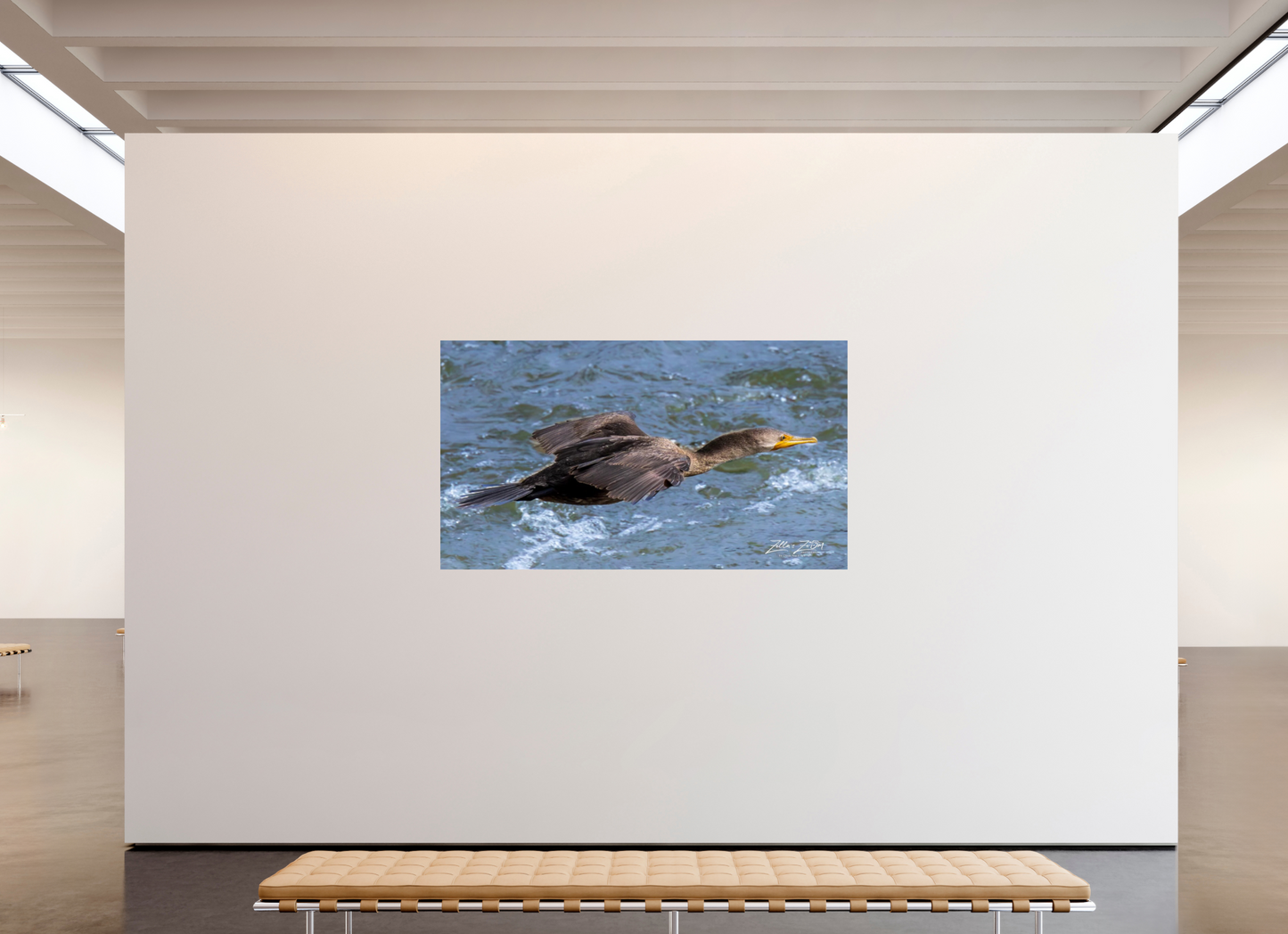 80 x 45″, Photo Print On Fuji Crystal DP II Zillas Zoom Image 310