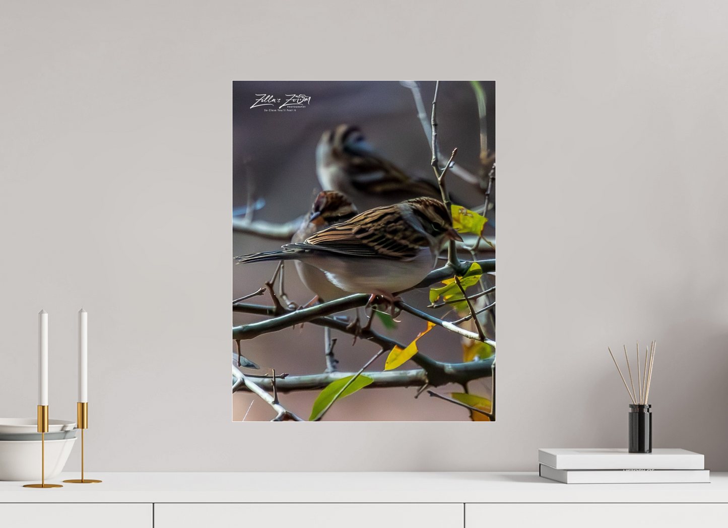 16 x 20.7″, Photo Print Under Acrylic Glass Zillas Zoom Image 427