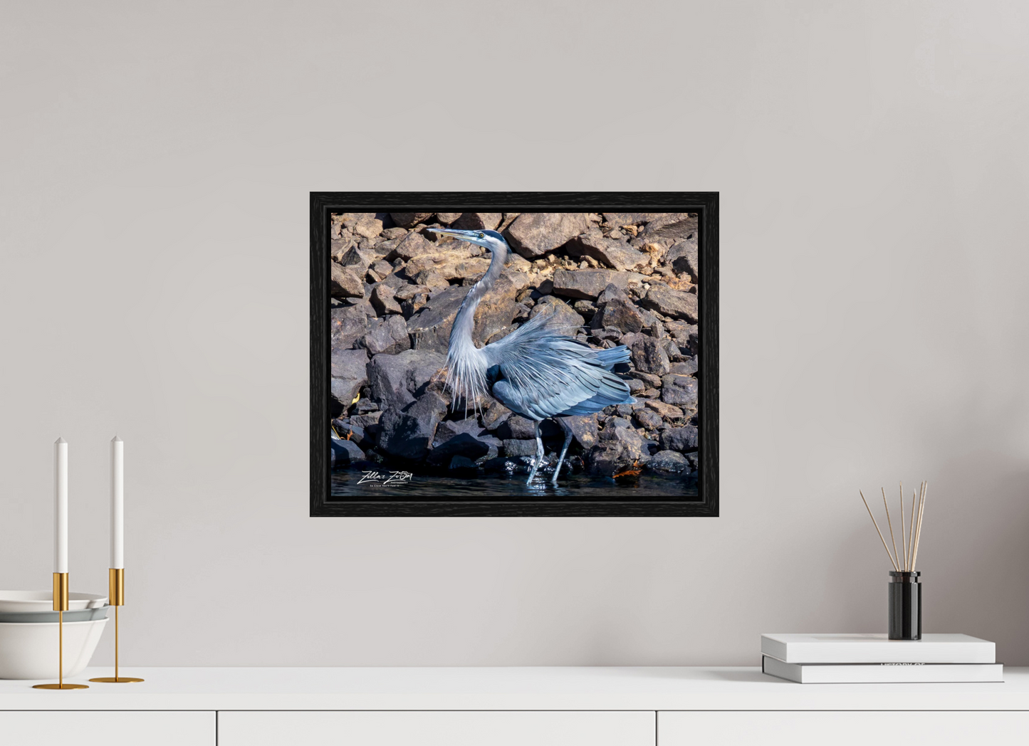 15.6 x 12″, Floater Frame Zillas Zoom Image 293