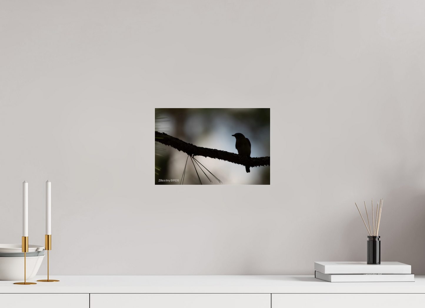 12 x 8″, Photo Print Under Acrylic Glass Zillas Zoom Image 372