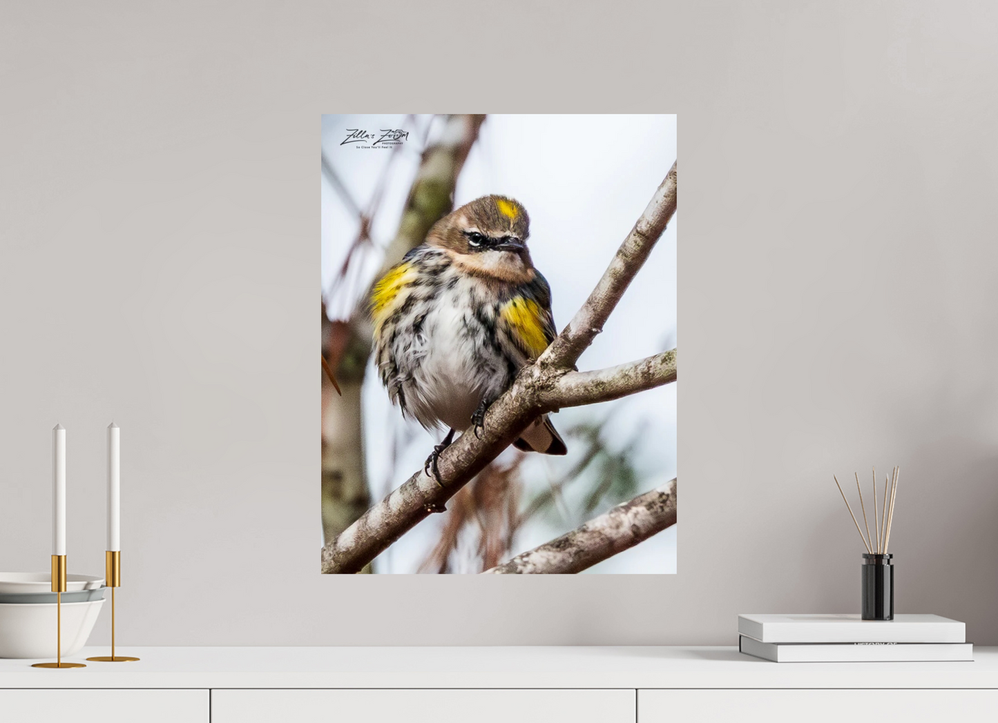 16 x 20.7″, Photo Print On Fuji Crystal DP II Zillas Zoom Image 496