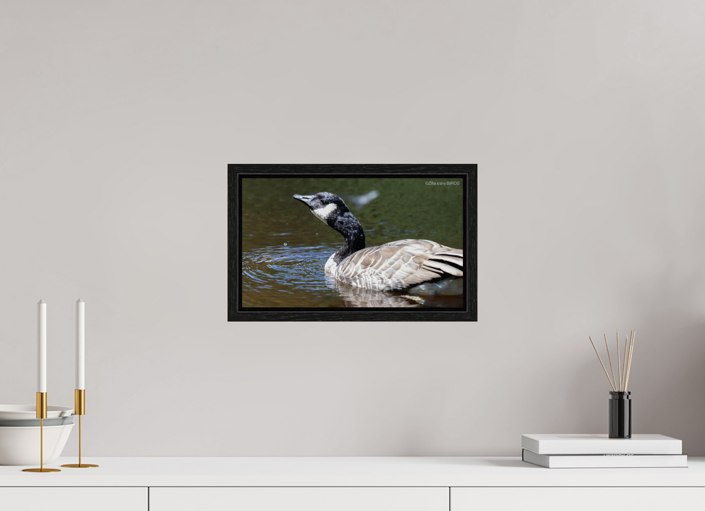 13.7 x 8″, Floater Frame Zillas Zoom Image 315