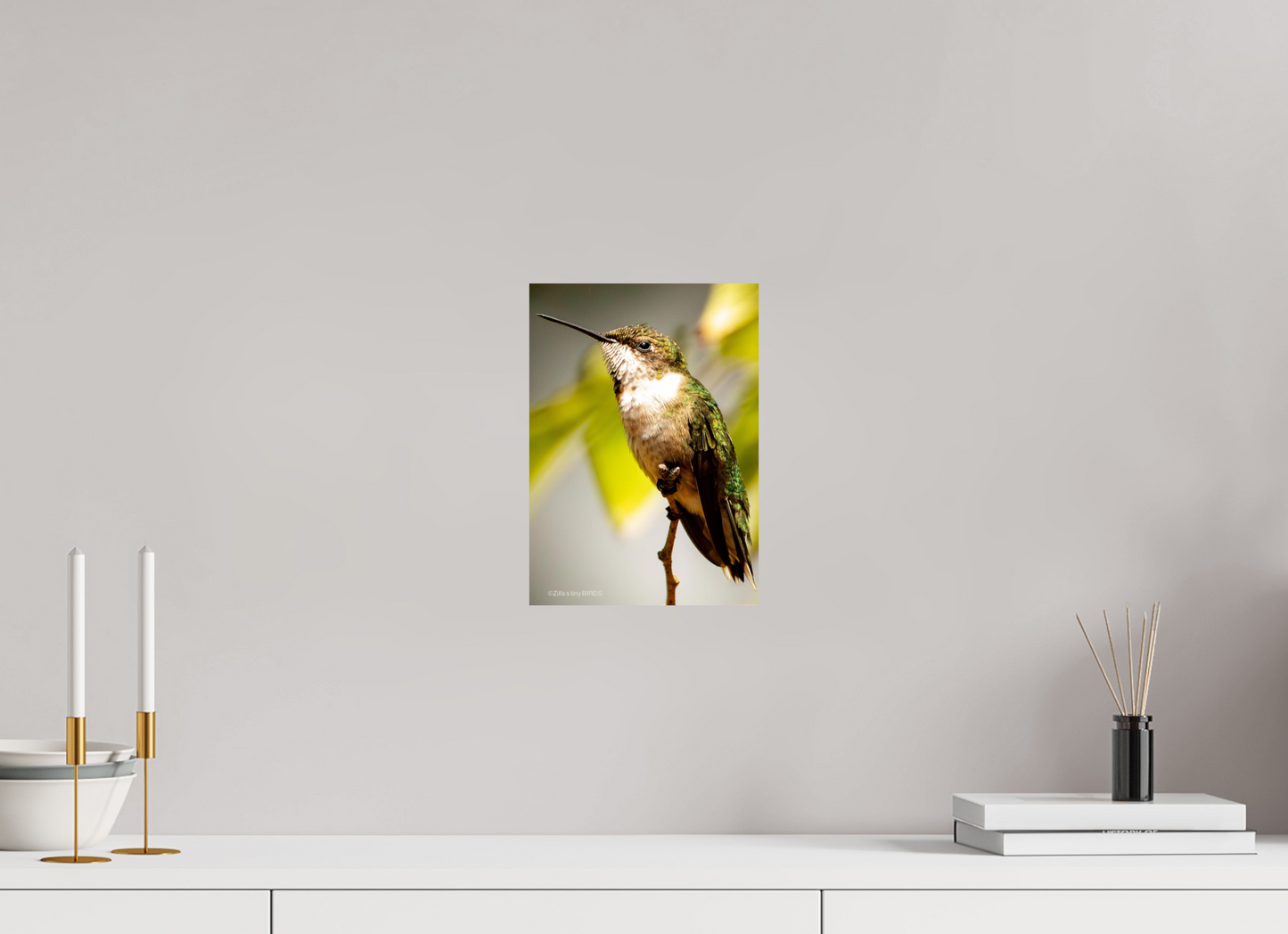8 x 11.2″, Photo Print On Fuji Crystal DP II Zillas Zoom Image 473