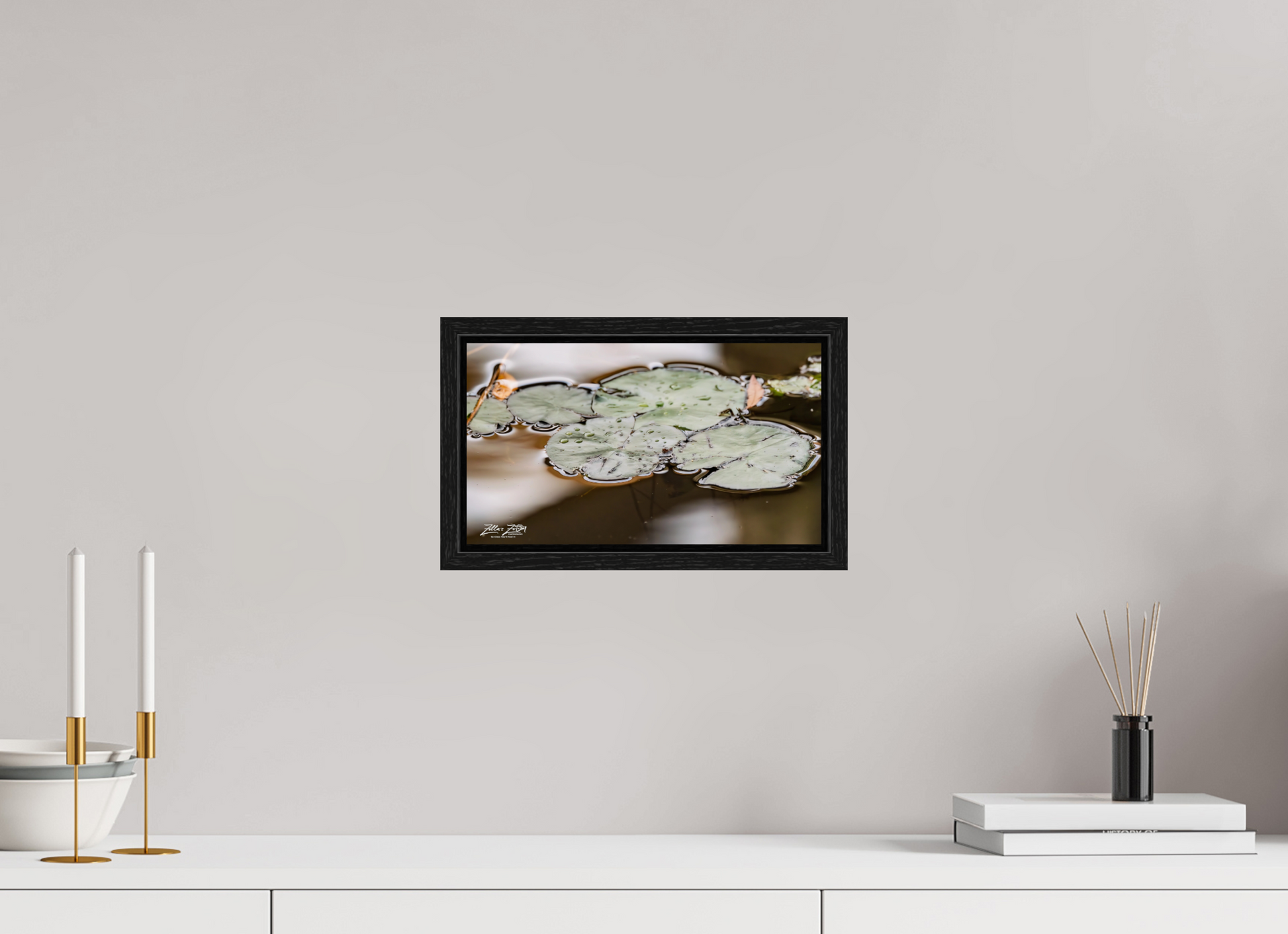 12 x 6.8″, Floater Frame Zillas Zoom Image 89