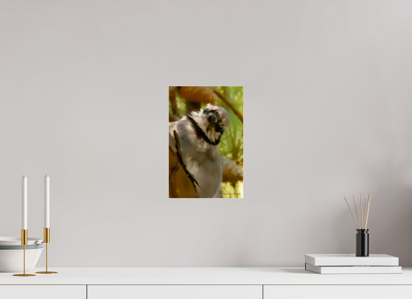8 x 12″, Photo Print Under Acrylic Glass Zillas Zoom Image 400