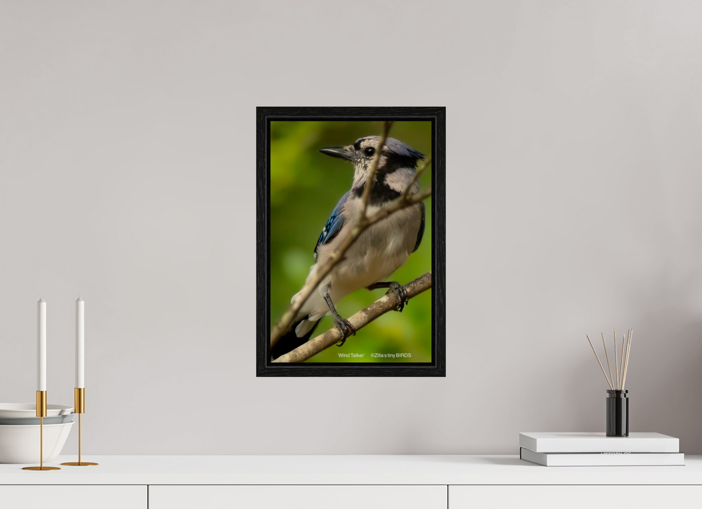 10 x 15″, Floater Frame Zillas Zoom Image 435