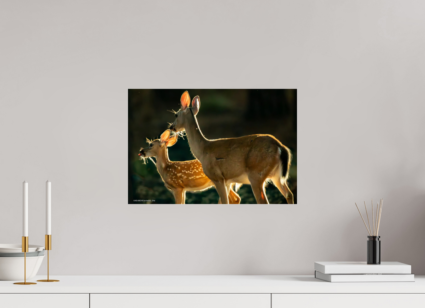 17.6 x 12″, Photo Print Under Acrylic Glass Zillas zoom image 146
