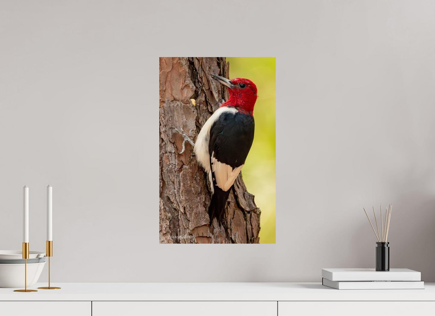 12 x 19.2″, Photo Print On Fuji Crystal DP II Zillas Zoom Image 463