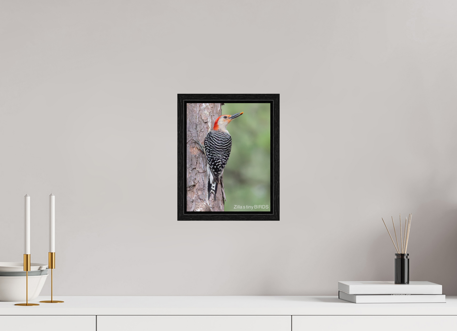 8 x 10.4″, Floater Frame Zillas Zoom Image 510