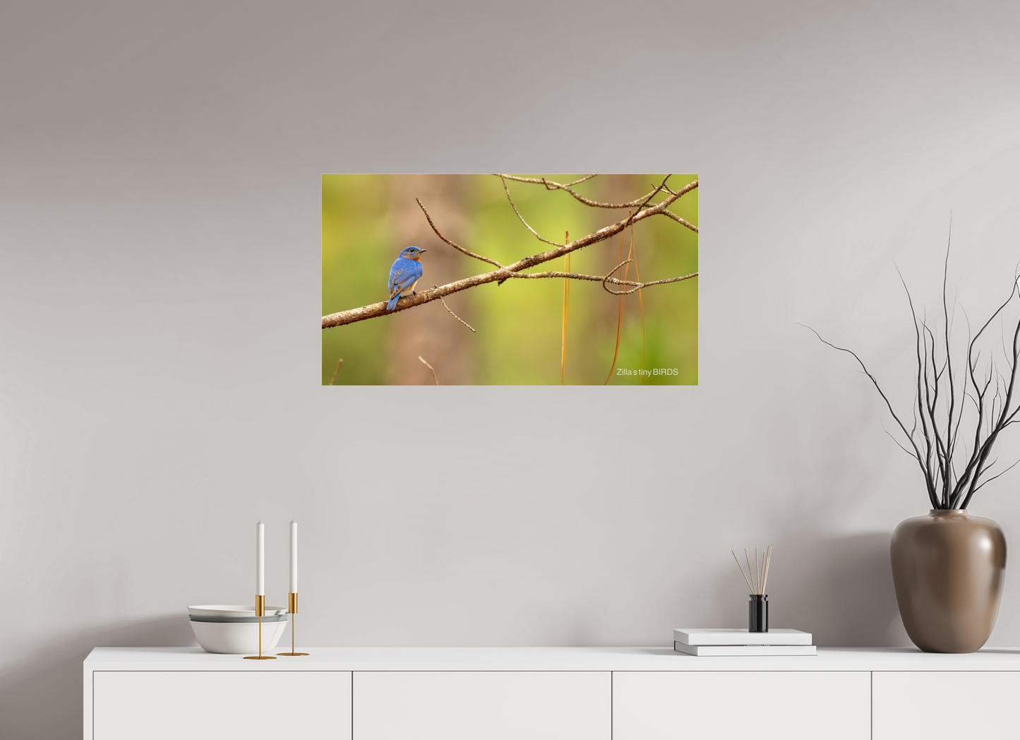 32 x 18″, Photo Print Under Acrylic Glass Zillas Zoom Image 382