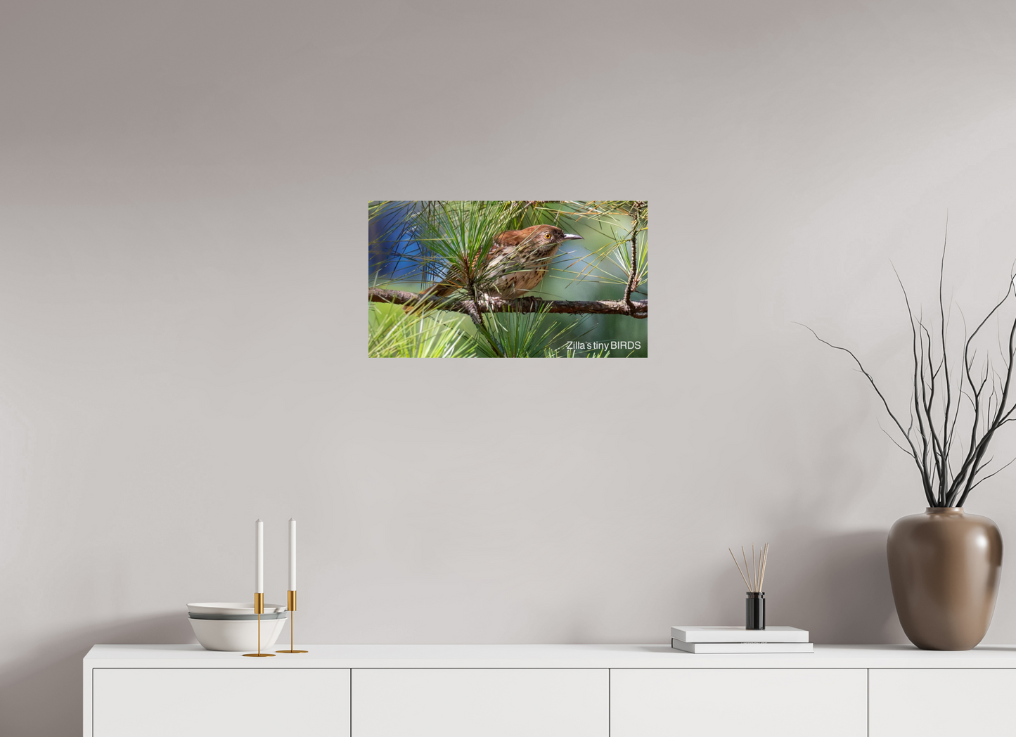 24 x 13.5″, Photo Print On Fuji Crystal DP II Zillas Zoom Image 379