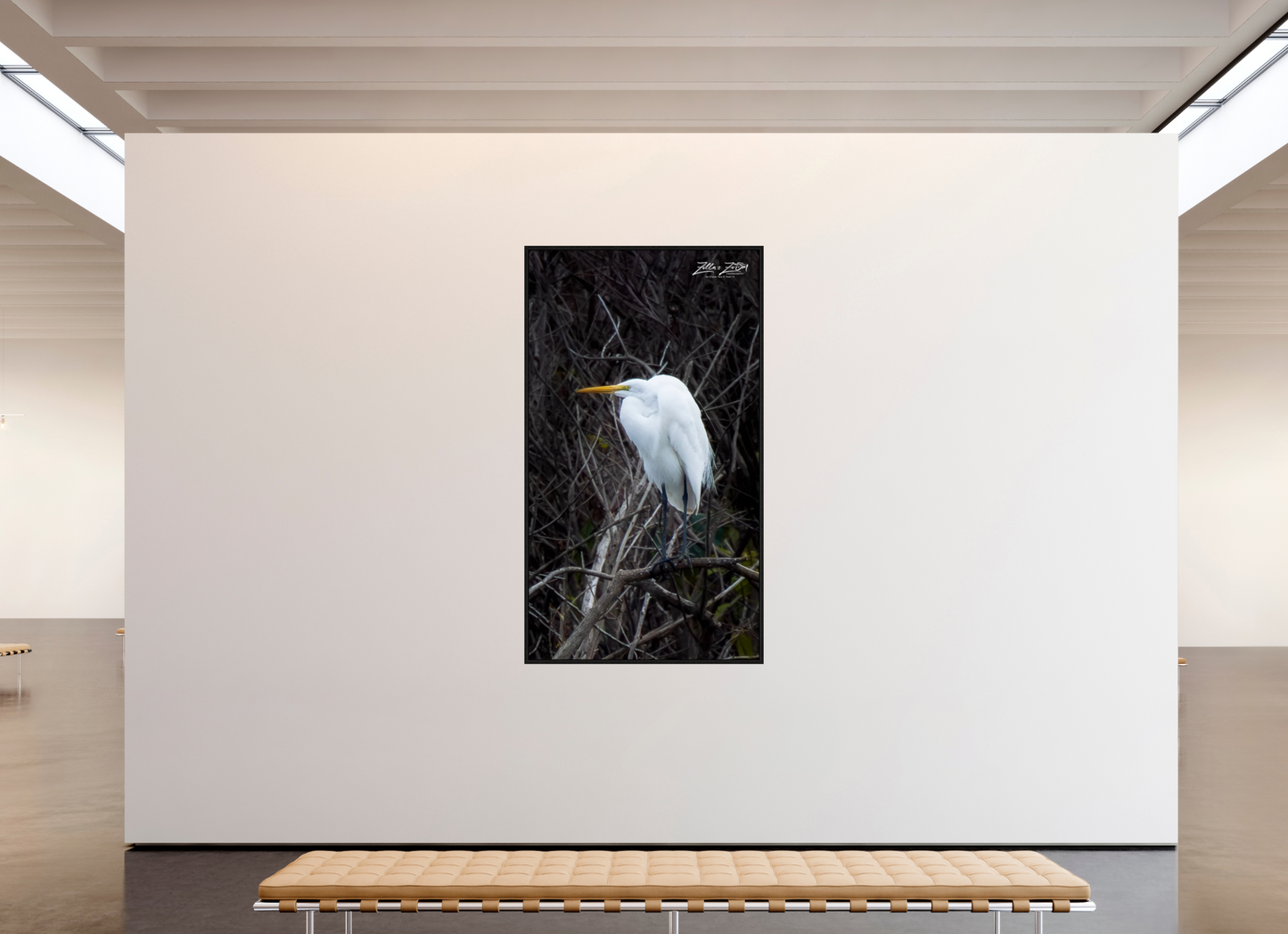 45 x 80″, Floater Frame Zillas Zoom Image 434